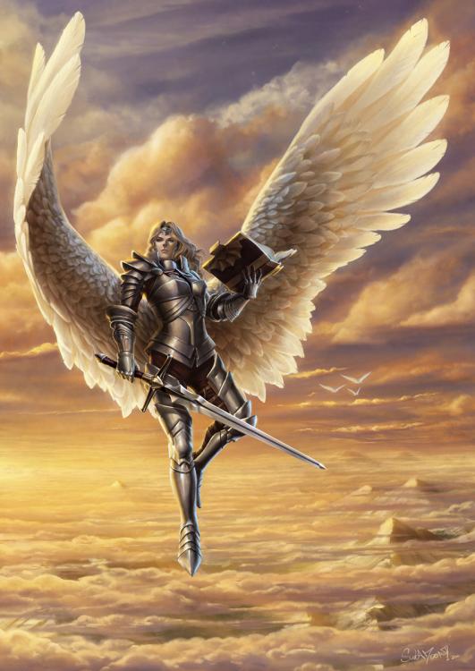 Angelic_Armor.thumb.jpg.843728e3131328f689f2e5f0cea5a137.jpg