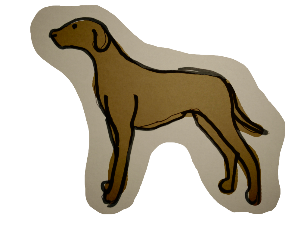 Hund_transparent.thumb.png.309c2143ad66293af347cb701065ee40.png