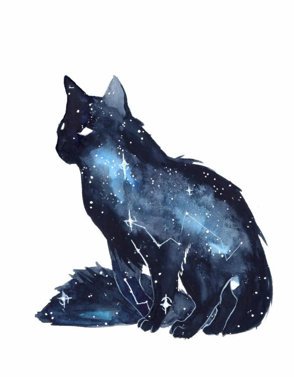 galaxy_cat_by_threeleaves_daf3n7b-fullview.thumb.jpg.e4573fc29bebc49c9768c4f1b7295a68.jpg